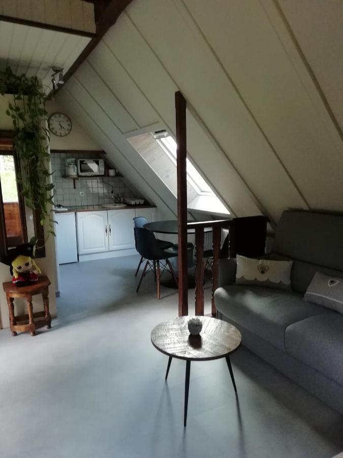 Romantic Studio Vacances Labaroche Eksteriør bilde