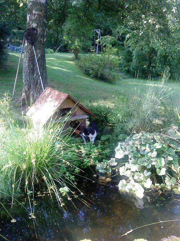 Romantic Studio Vacances Labaroche Eksteriør bilde